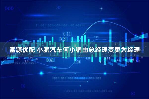 富源优配 小鹏汽车何小鹏由总经理变更为经理